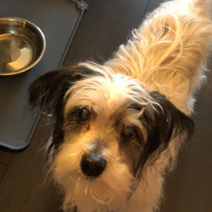 Meet your Posher, Jeannine